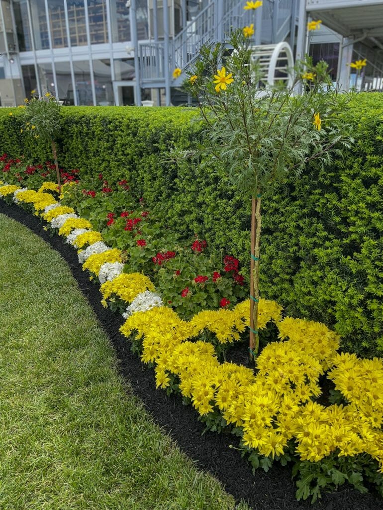 Benefits Of A Vibrant Landscape