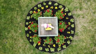 Aerial view of a small garden with flowers encircling a wooden square in the center.