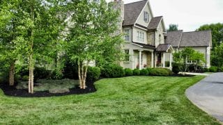 A well-maintained home exterior featuring lush green lawn and decorative trees, conveying the importance of regular landscape maintenance.