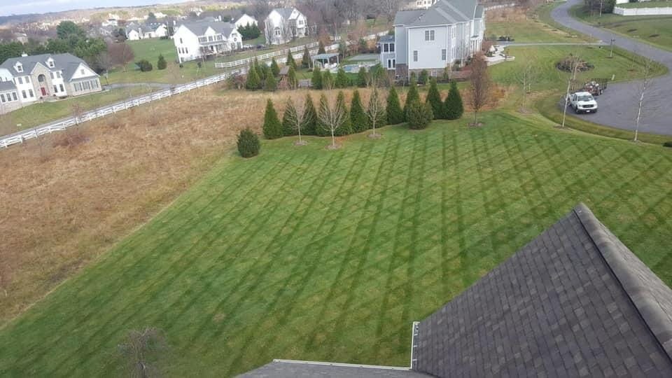 freshly cut lawn