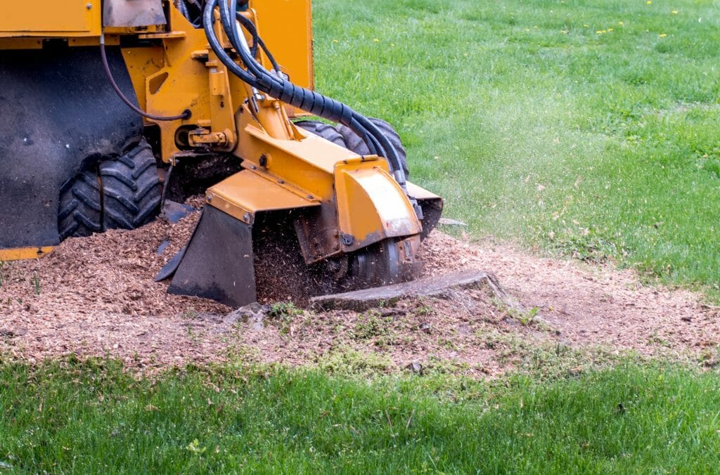 A yellow stump grinder removes a tree stump in a yard