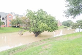 Flooding surrounds a tree near an apartment complex