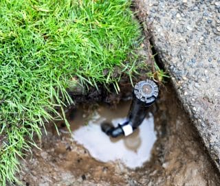 A black sprinkler head peeks out of the ground, sitting in a muddy, water-filled hole next to grass and pavement.