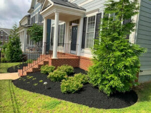 fresh mulch in the front flower bed
