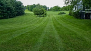 large lawn that has just been cut