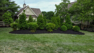 mulch bed with bushes
