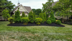 mulch bed with bushes and trees