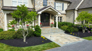 fresh maintained front yard landscape