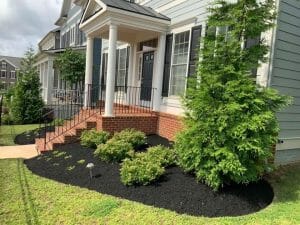 freshly mulched flower bed