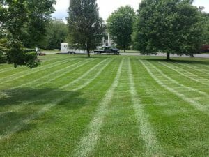 Large clean cut lawn