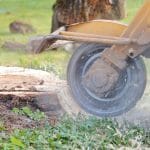stump removal picture 
