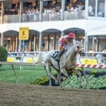 Horses Racing at the Preakness Stakes