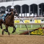 Horses Racing at the Preakness Stakes