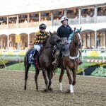 horse and jockey on Preakness Stakes track