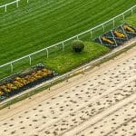 overhead view of designed flower beds at Preakness Stakes track