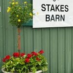 flowers Infront of the Preakness Stakes Barn Sign