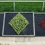 designed flower beds at the Preakness Stakes