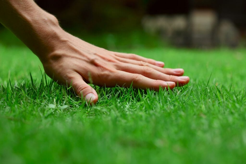 Benefits Of A Clear And Clean Yard- Safety