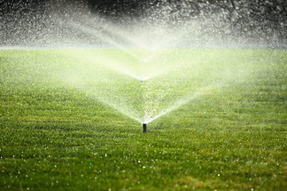 Springtime Lawn Care For Commercial Properties